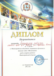 Диплом за 1 место в областном спортивном фестивале 2015 г